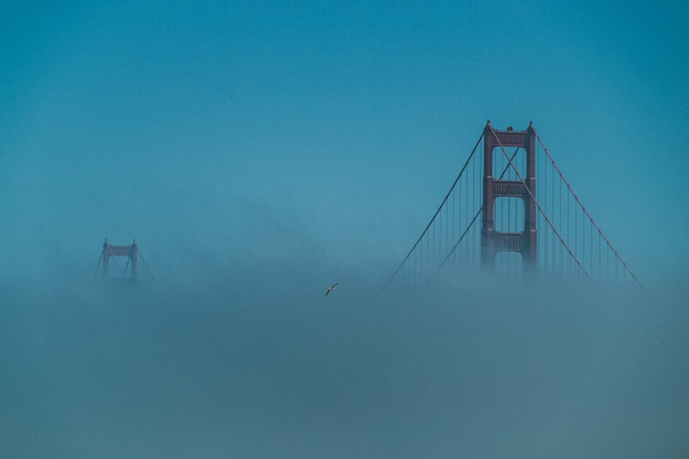 ponte coberta de nevoeiro