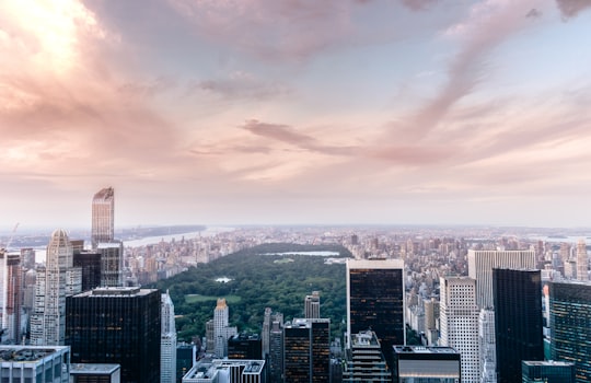 architectural photography of buildings in Central Park United States