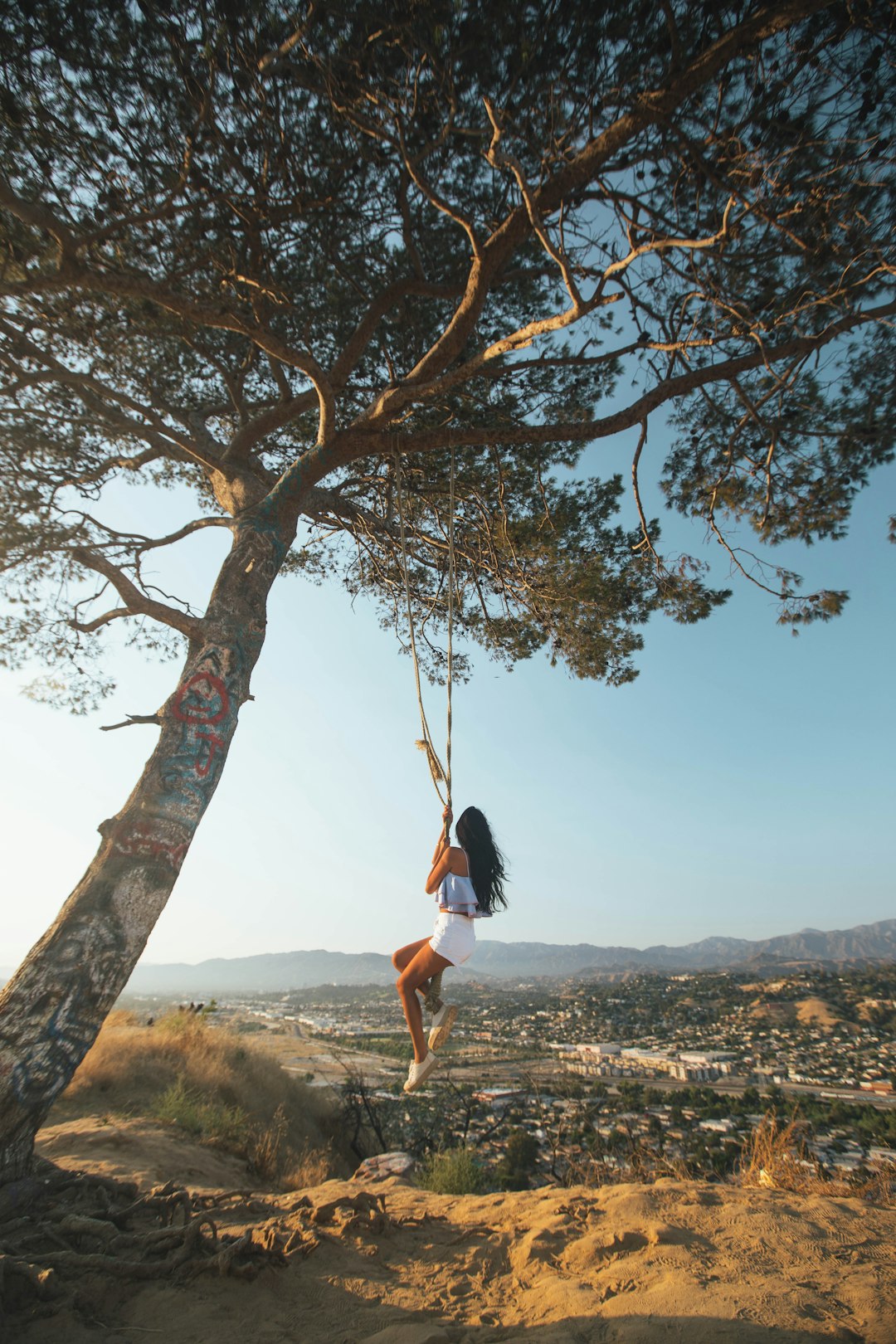 Secret Swing Angels Point - From Elysian Park, United States