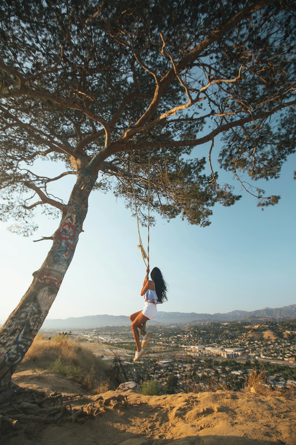 woman swinging on tree