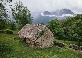 brown cabin beside green grass on hill