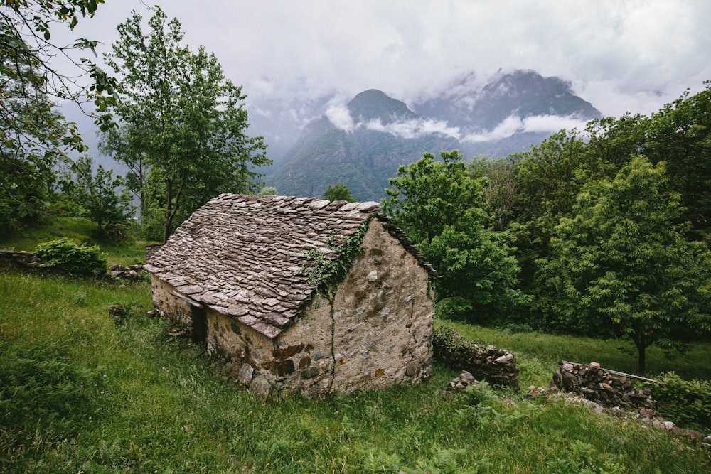 brown cabin beside green grass on hill