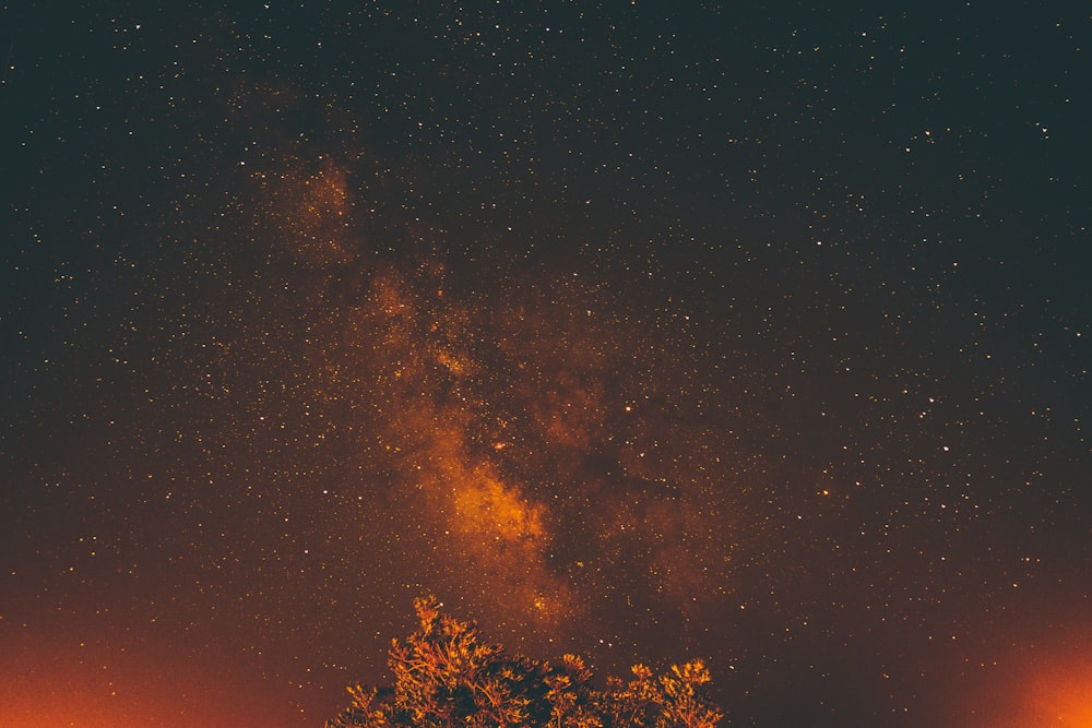 Vue de la galaxie sur le ciel nocturne