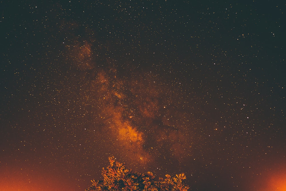 Vista della galassia sul cielo notturno