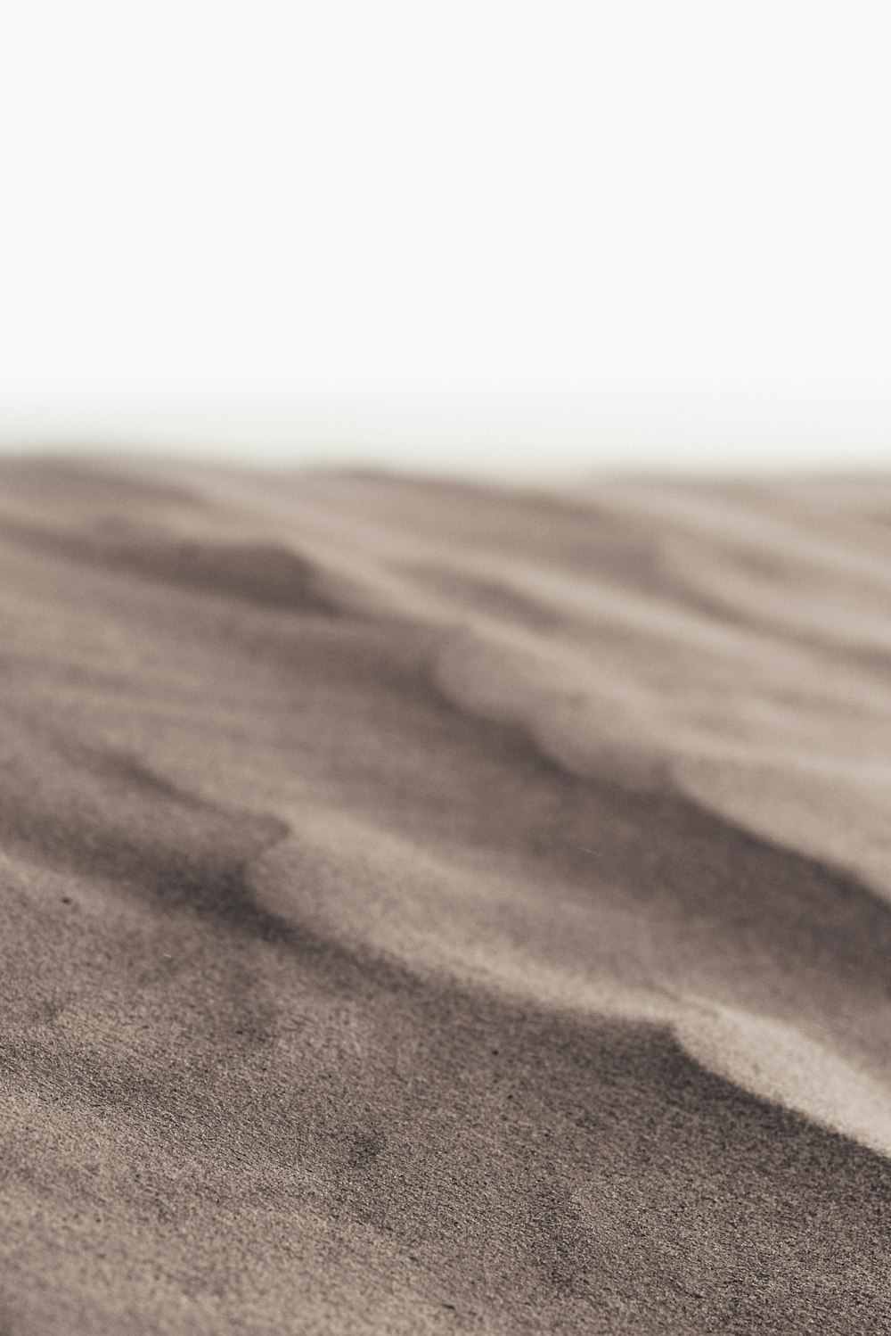 brown sands at daytime