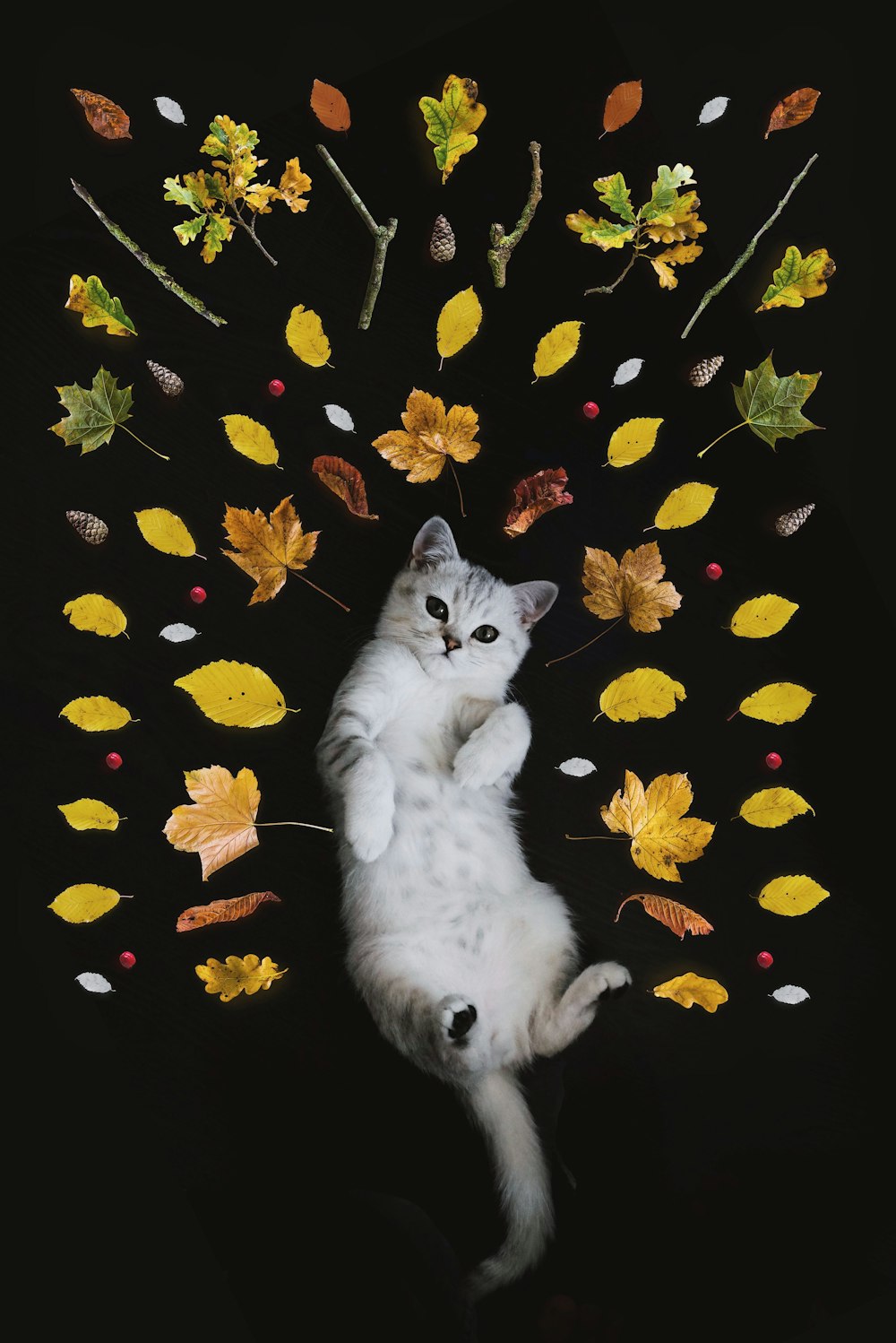 葉に囲まれた銀色のぶち猫