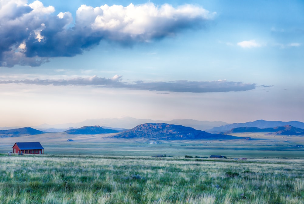 landscape photography of green open field