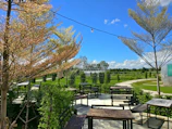 Outdoor patio area with picnic tables surrounded by greenery and soft evening lights.