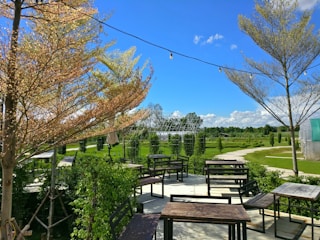 An outdoor patio area with several wooden tables and chairs is surrounded by lush greenery. The area is under clear blue skies, and in the distance, there is a large open field and a gazebo-like structure. String lights are hanging across the trees, adding a decorative touch.