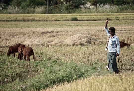 man raising right hand on grass field in Hampi India