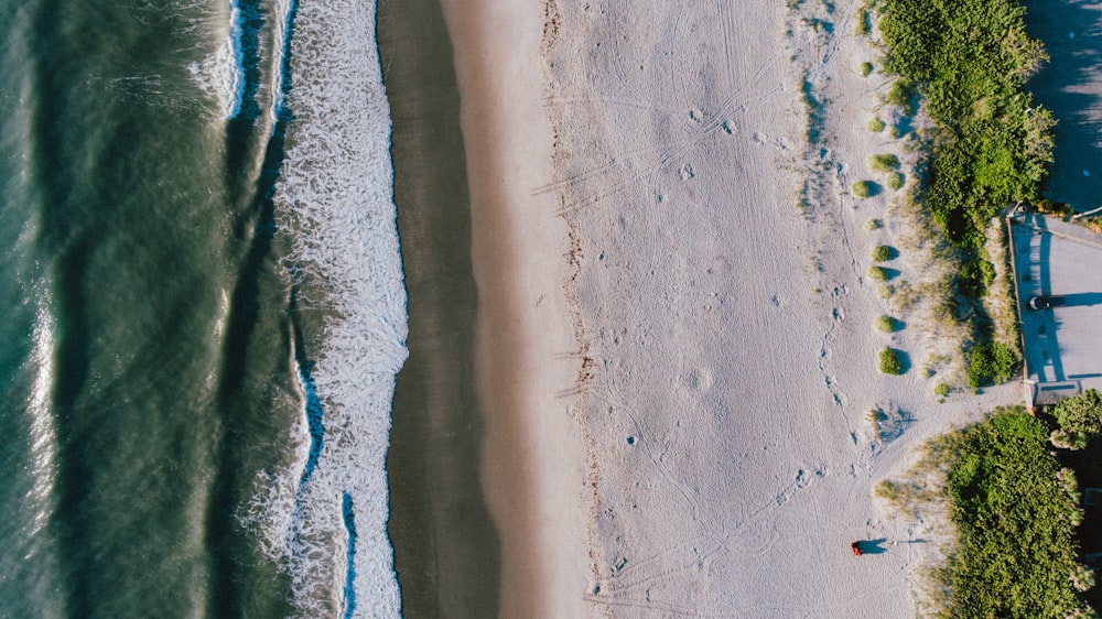 beach shore