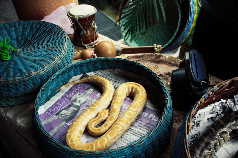 python snake at wicker basket