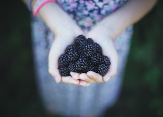 woman holding blue berries taken at daytime