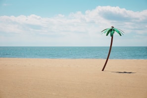 green artificial palm tree on seashore