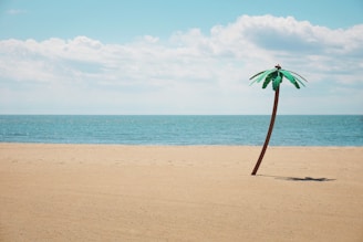 green artificial palm tree on seashore