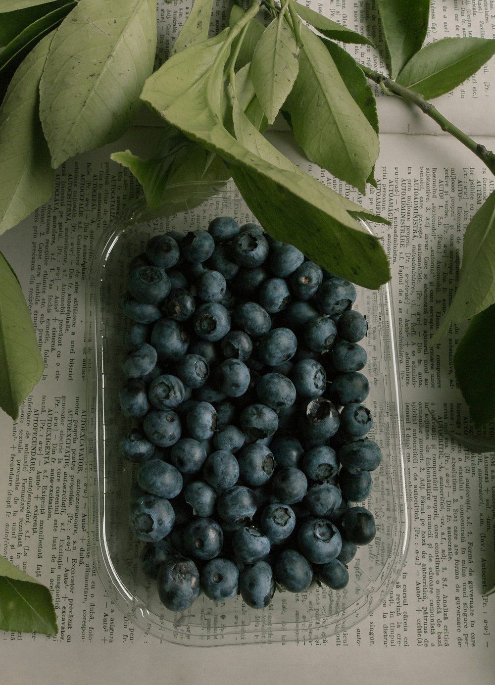 blue berries on stainless steel tray