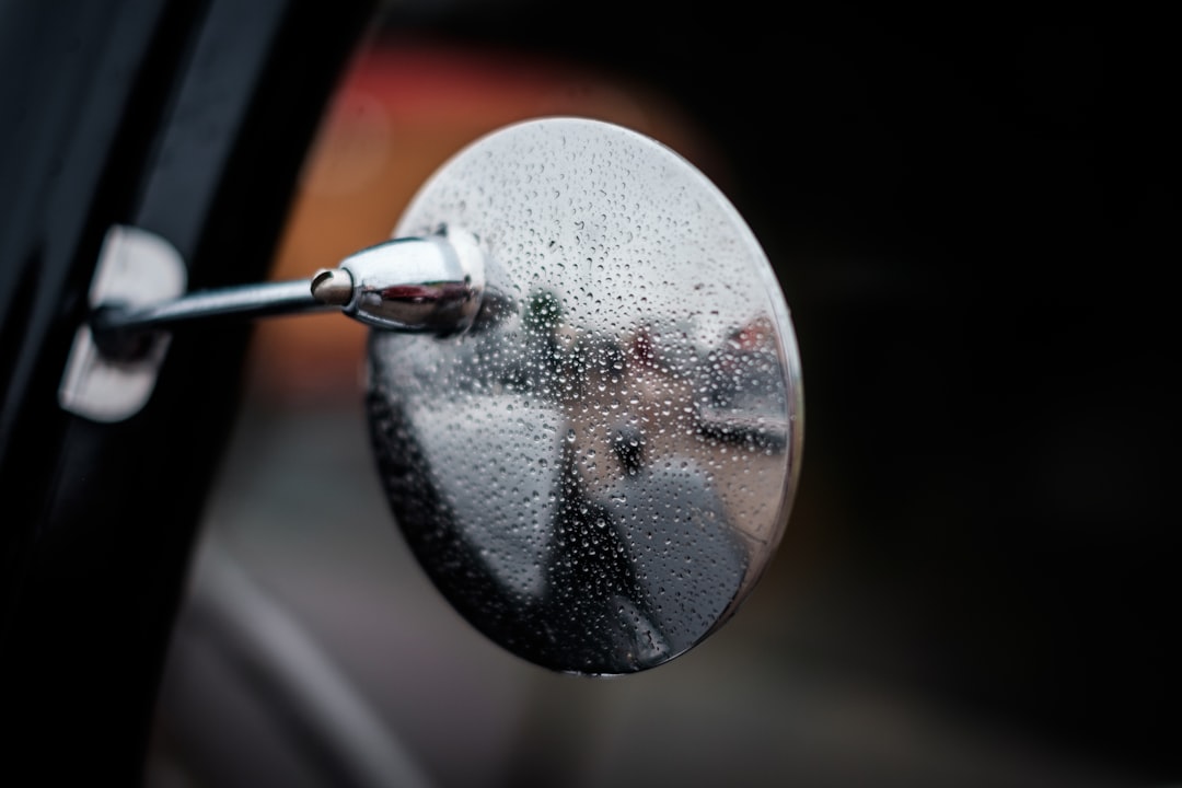 silver side view mirror