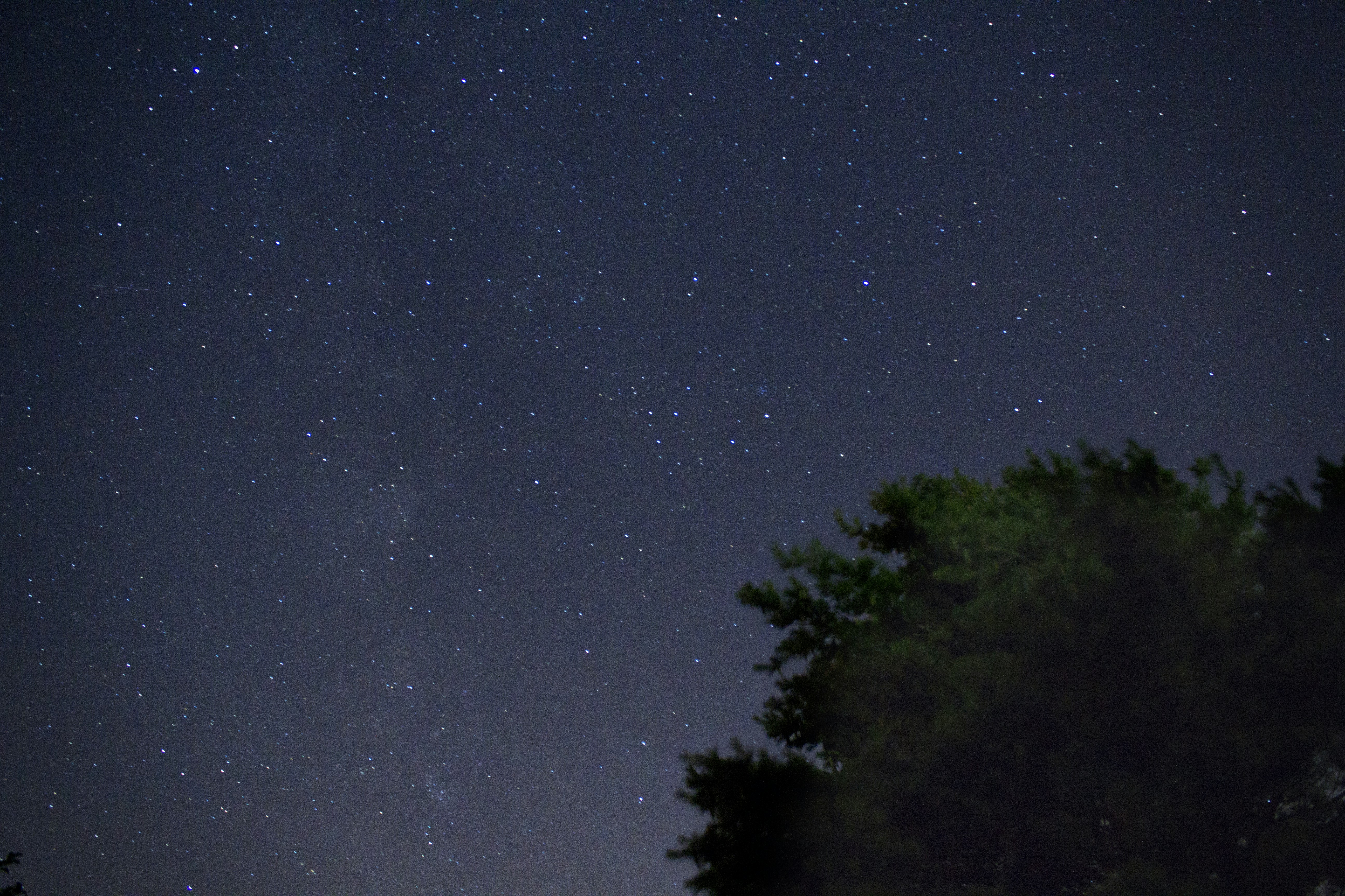 별이 빛나는 밤 아래 나무의 실루엣 사진 – Unsplash의 무료 밤하늘 이미지, image size:3000x2000