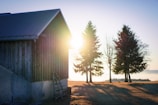 Morning light filtering through leaves onto the farm’s natural feed storage area.