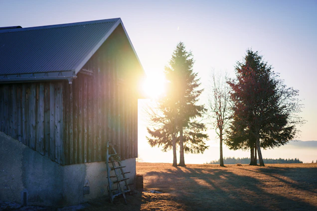 Golden sunlight filters through tall trees onto a rustic farmhouse porch nestled in rural Kentucky.
