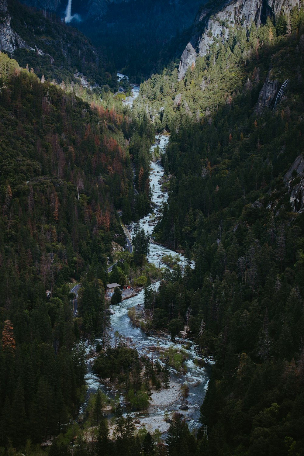 riacho entre montanhas cobertas de pinheiros durante o dia