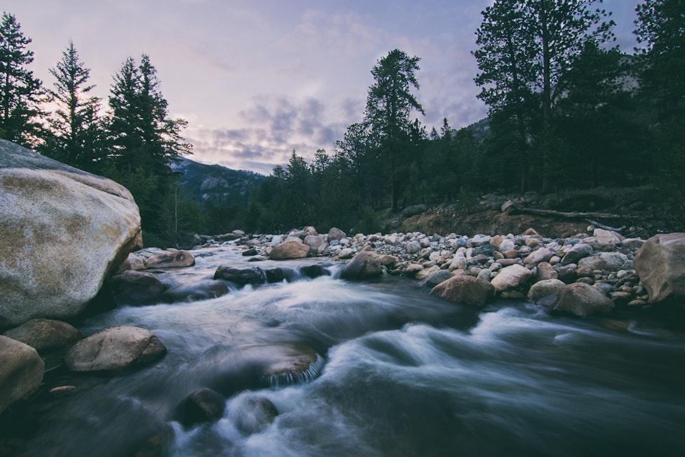 Fluss während der Zeitrafferfotografie bei Tag