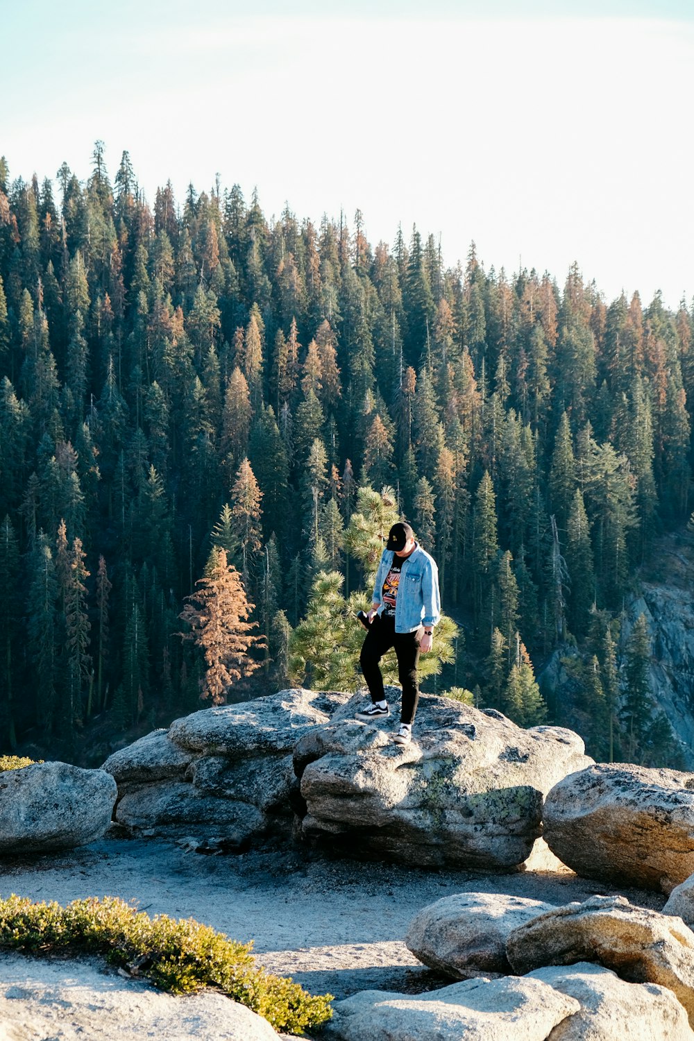 man standing on rock near trees