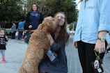 A dog owner interacting with their pet at the festival.