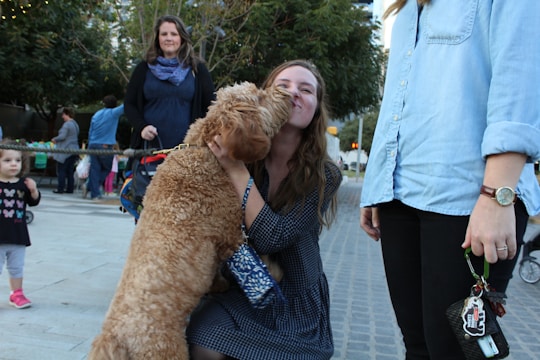 A woman kneels down to interact affectionately with a fluffy, tan-colored dog. The dog appears to be licking her face. Another person stands nearby holding keys, wearing a light blue shirt. In the background, several people, including a child walking, are present in a park-like setting with trees and benches.