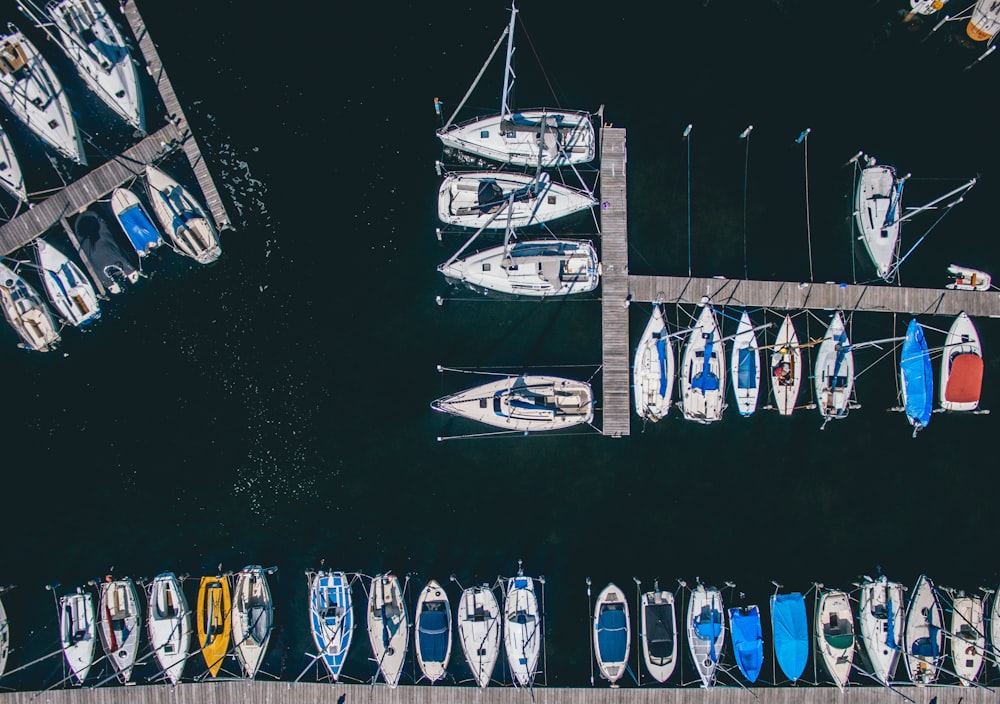 assorted boats on body of water