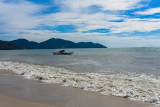 A serene coastal view with gentle waves and a distant boat on the horizon.