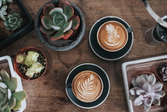 Two cups of coffee with intricate latte art designs are placed on a wooden table alongside a variety of small succulent plants in pots. The composition of coffee and plants creates an inviting and cozy atmosphere.