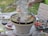 An outdoor scene featuring a family gathered around a grill, enjoying a summer cookout.