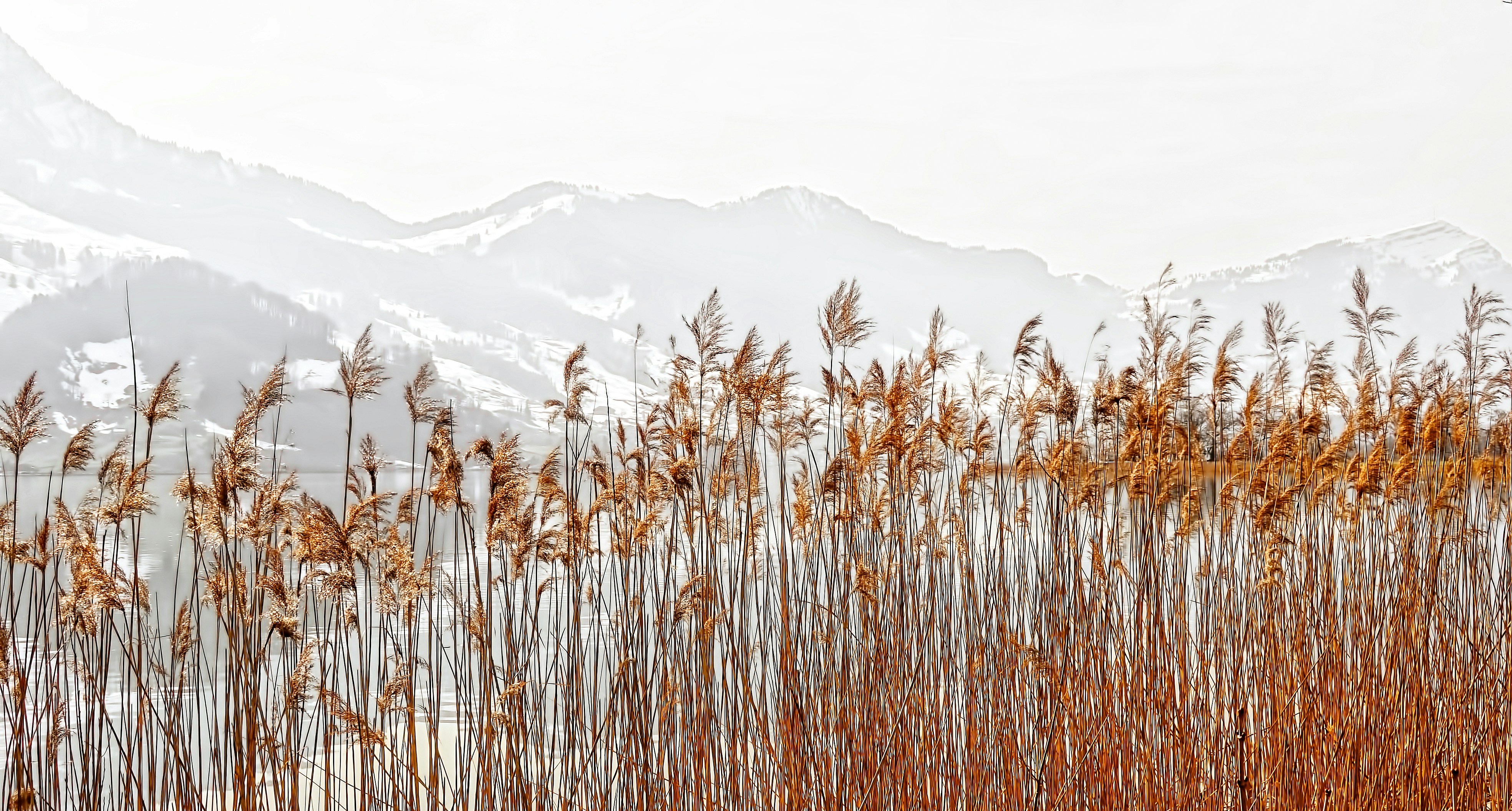 Photo by rgaleriacom