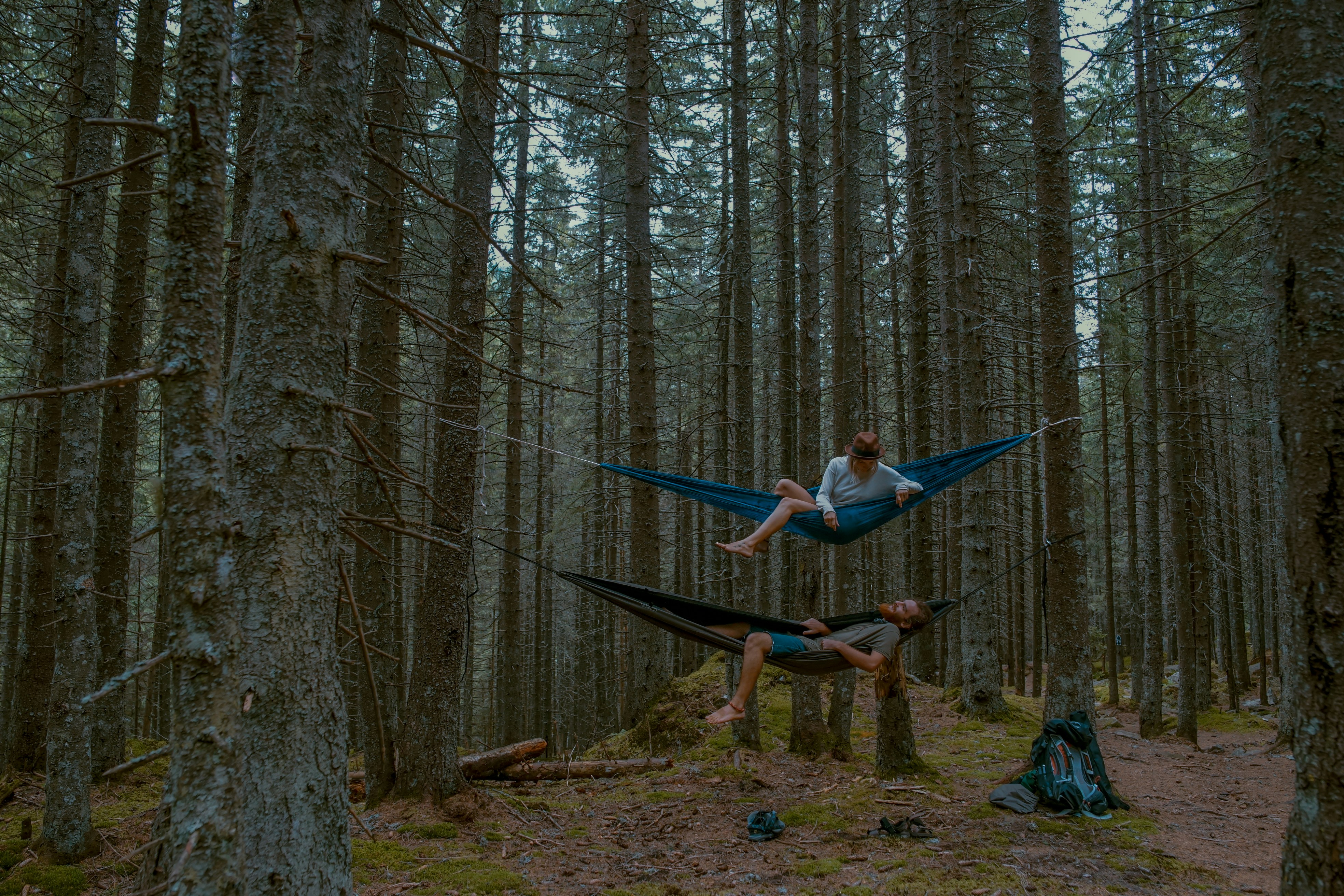man and woman on hammock in between forest