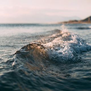 ocean wave at beach