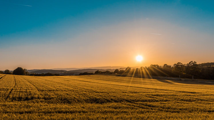 Terres agricoles normandes sous bail rural — évaluation foncière