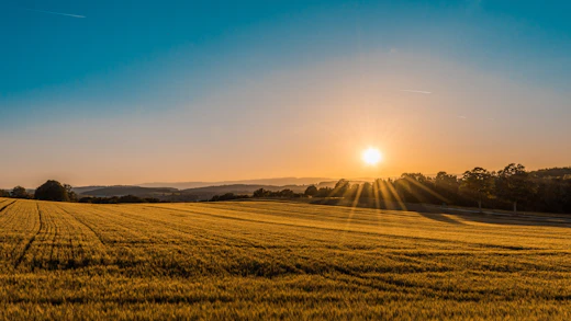 Campo agrícola extenso en la meseta castellana al amanecer