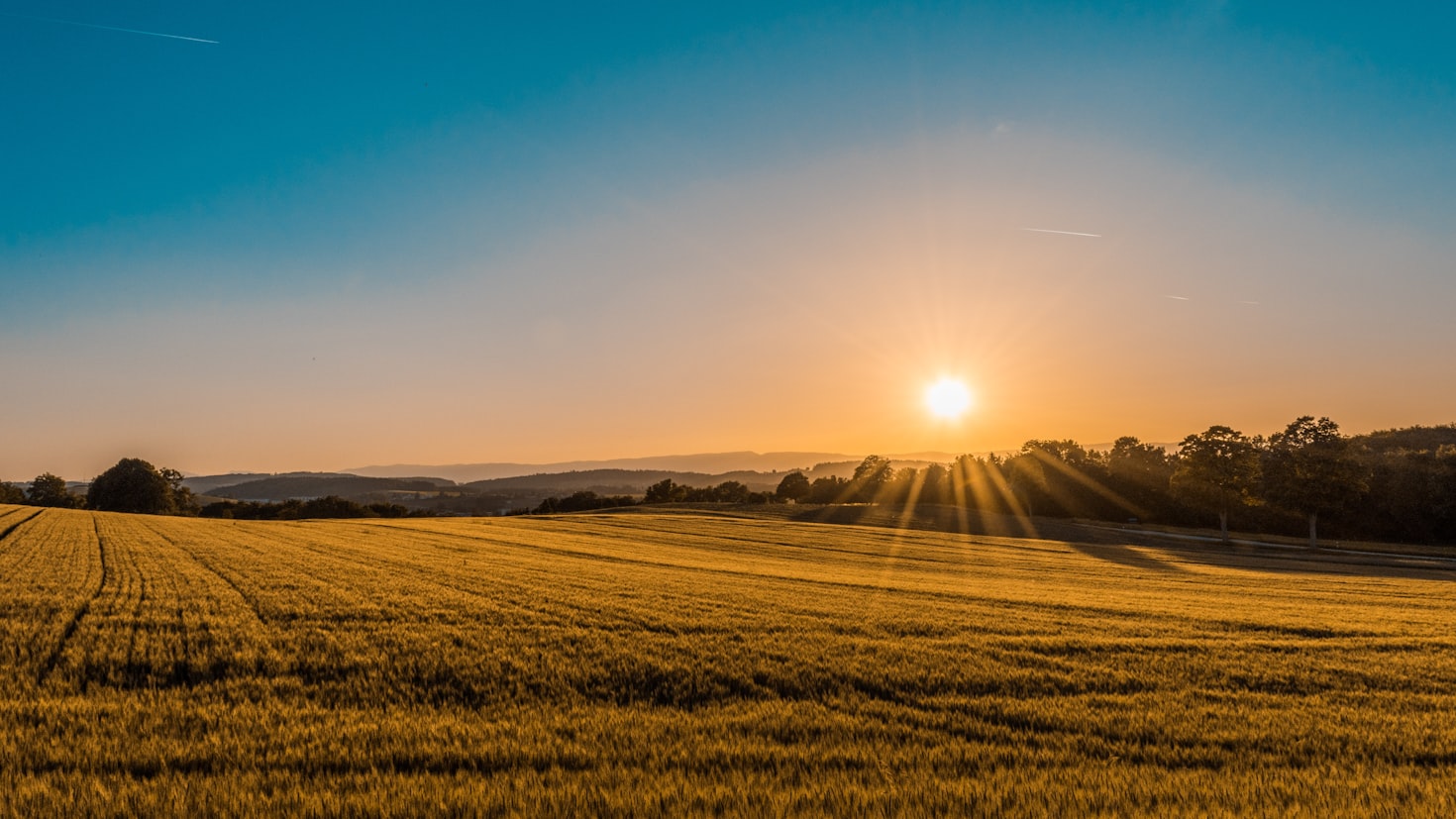 Agriculture Industry Insights