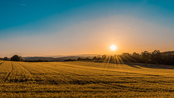 Grasslands