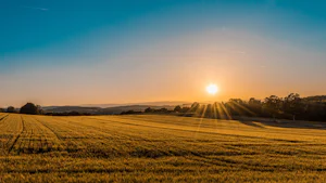 Los centros de datos de IA están haciendo subir los precios de la tierra rural y provocando una reacción violenta