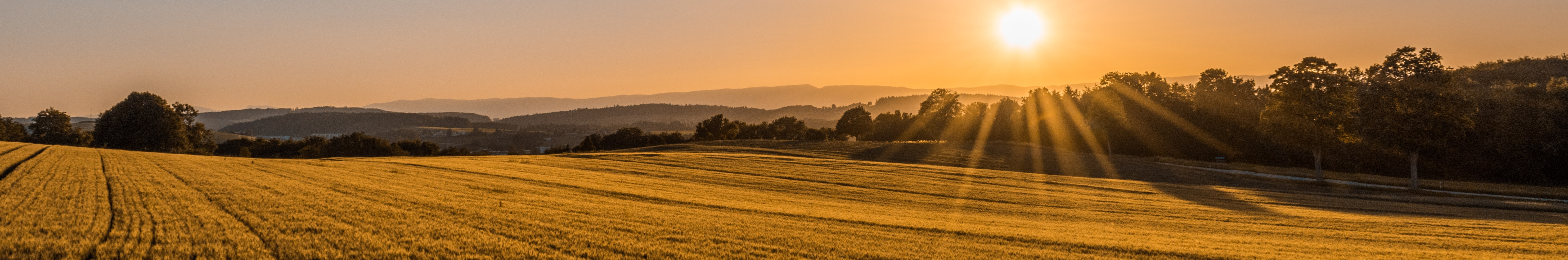 Kesko Oyj's raw material sourcing in 2021 used at least an estimated 3,000 hectares of land