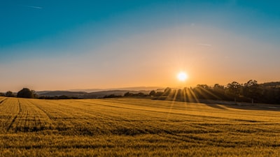 brown field near tree during daytime sunrise zoom background