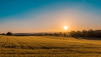 Farmer Cooperatives