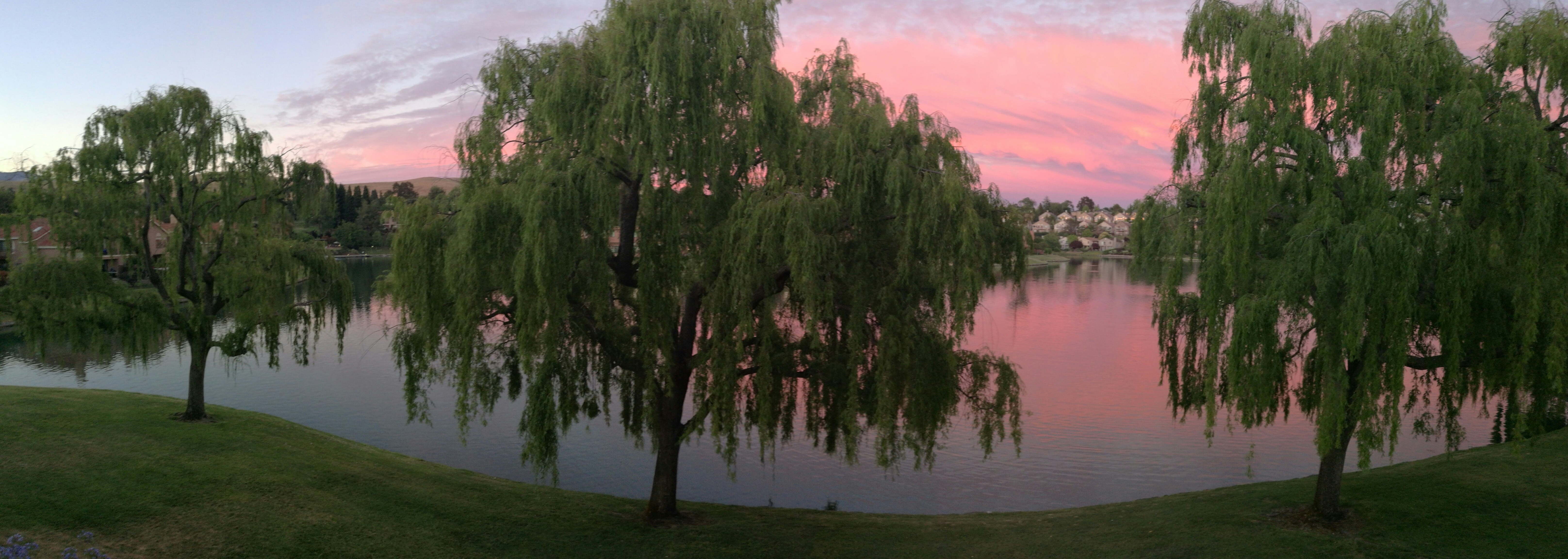 Sunlit Fields Landscape Painting