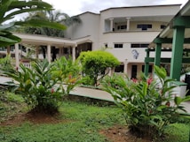 A botanical garden with lush green foliage surrounding a modern two-story building. The building has white walls and several columns at the entryway. Tropical plants and flowers are prominent in the foreground, and palm trees can be seen in the background. Art is visible on the building's wall, adding to the aesthetic.