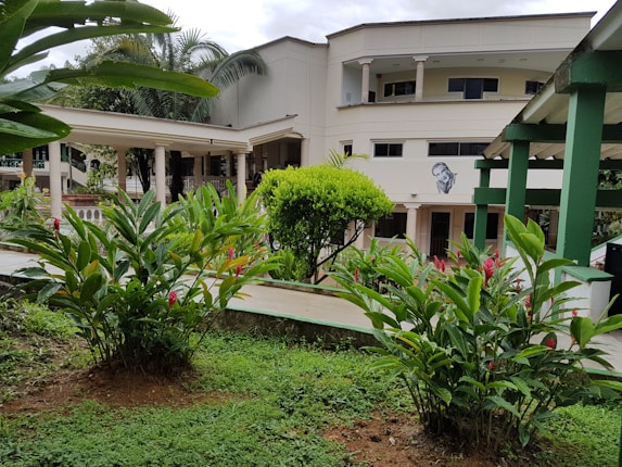 A botanical garden with lush green foliage surrounding a modern two-story building. The building has white walls and several columns at the entryway. Tropical plants and flowers are prominent in the foreground, and palm trees can be seen in the background. Art is visible on the building's wall, adding to the aesthetic.