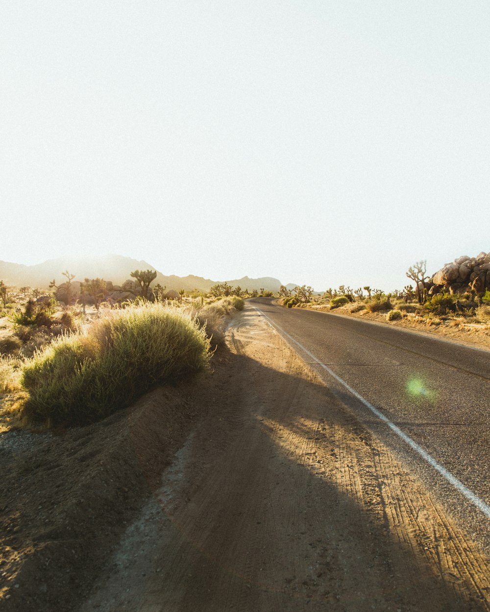 Una strada vuota in mezzo al deserto