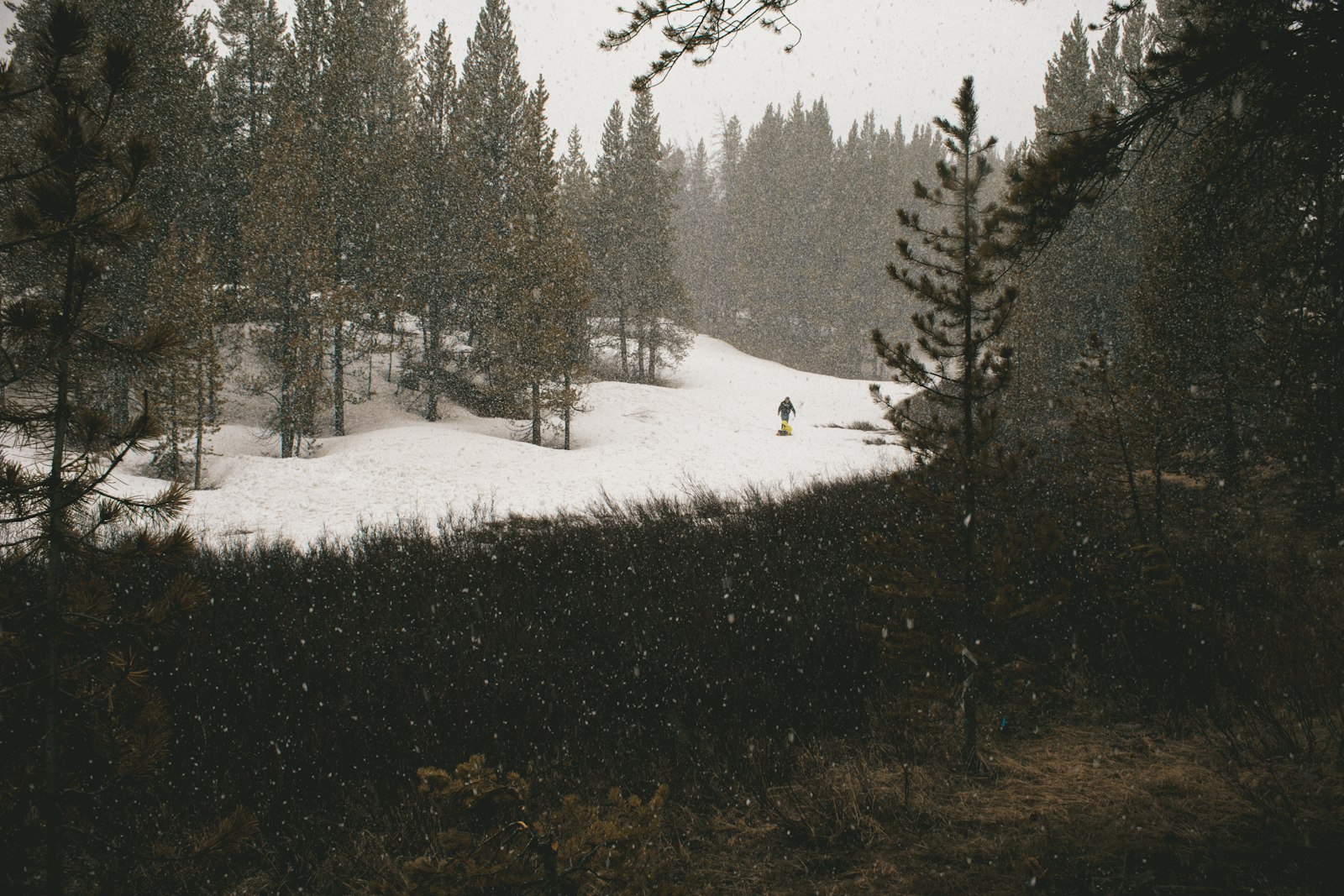 Canon EOS 5D Mark III + Canon EF 28mm F1.8 USM sample photo. Snow covered forest photography