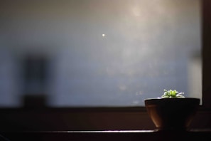 A peaceful window sill with soft beige curtains and a small potted plant catching the light